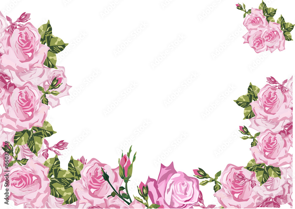 frame decorated by pink rose flowers on white frame decorated by pink rose flowers on white