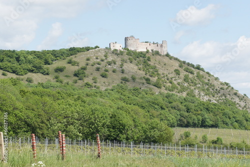 Ruins of gothic tower house Děvičky, Moravia, Czech republic photo