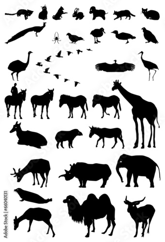 silhouette animals
