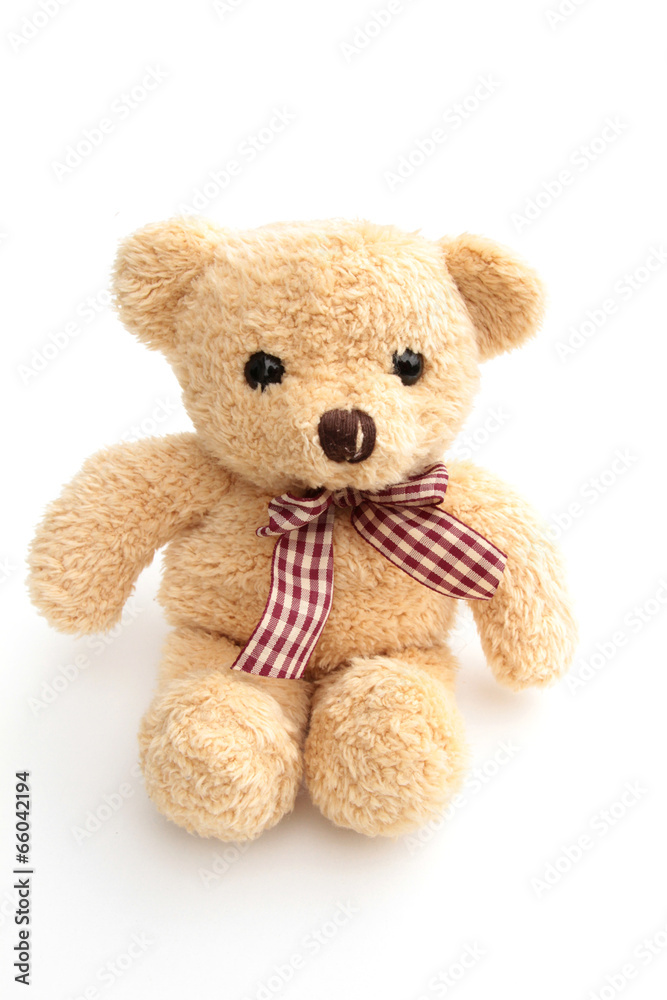 Obraz premium ours en peluche