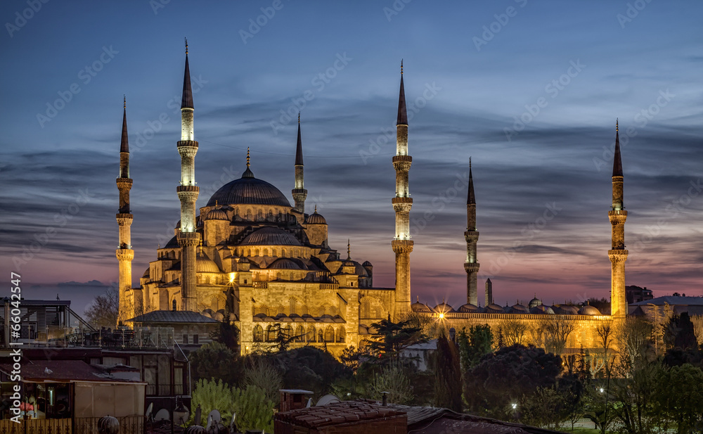 Fototapeta premium Blue Mosque,istanbul,turkey