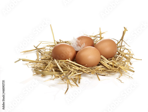 4 Eier im Nest