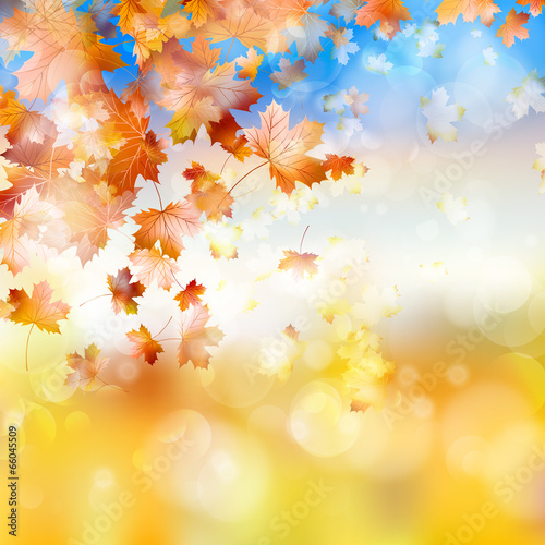 Autumn background with maple leaves. EPS 10