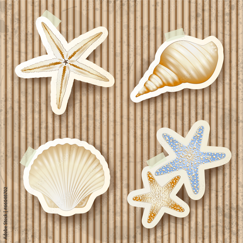 Seashells on cardboard background Seashells on cardboard background