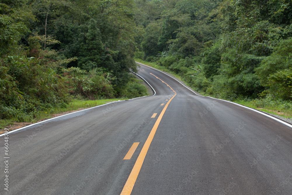 Fototapeta premium The road through the rainforest