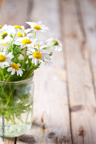 Fototapeta Naklejka Na Ścianę i Meble -  chamomile bouquet in jar