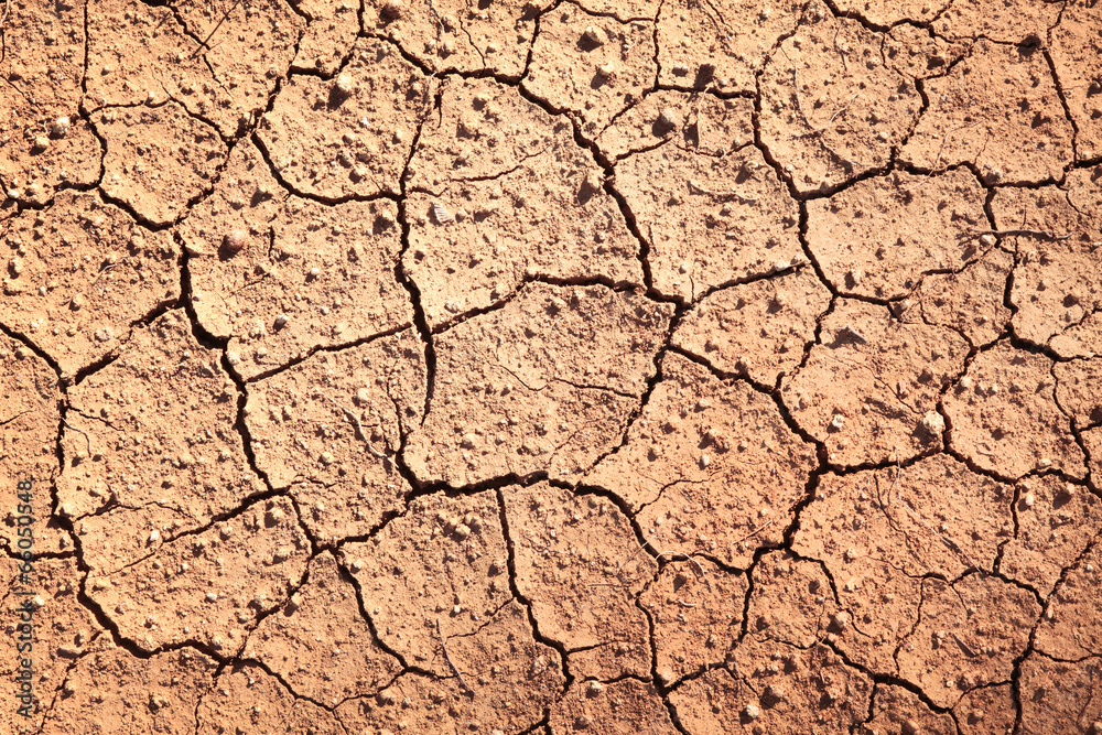 Cracked soil background