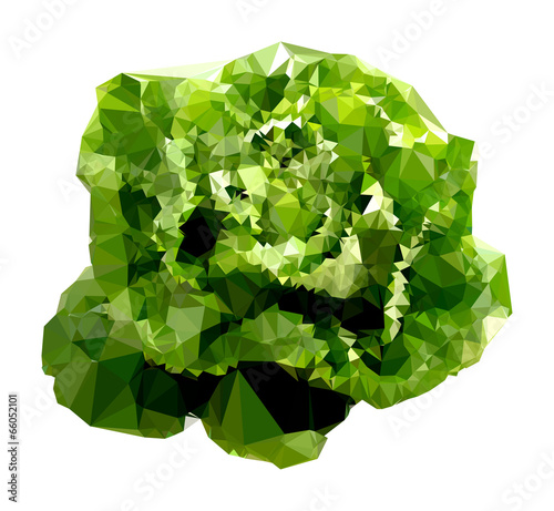 Polygonal Salad Illustration
