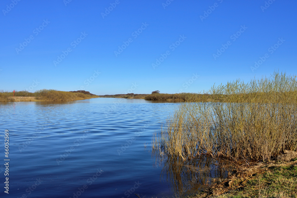 Fototapeta premium River