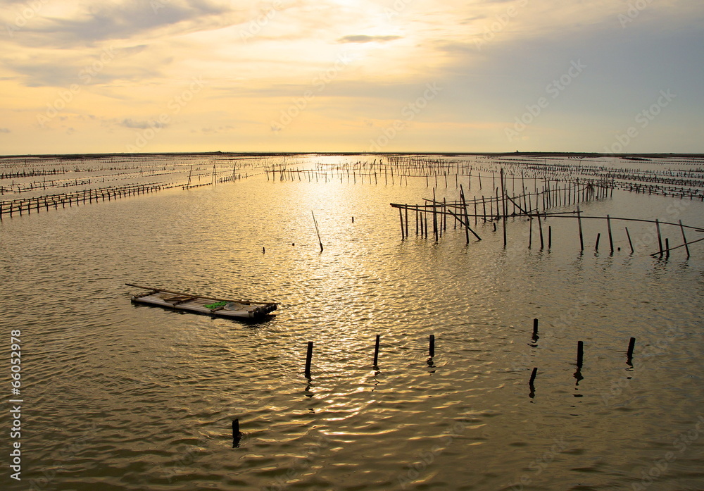 The image of an oyster farm in sunset