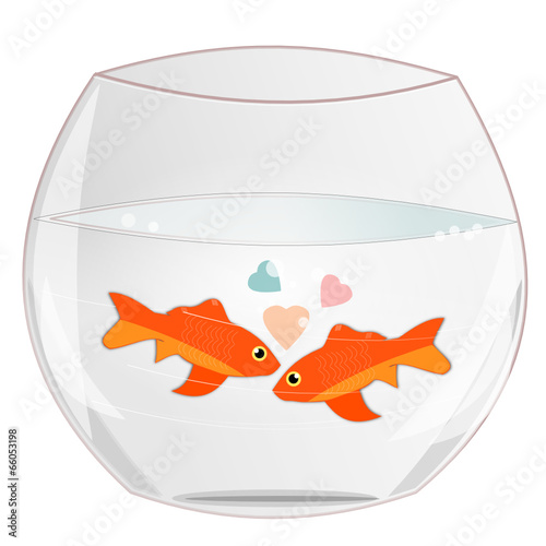 Duo de poissons rouges dans un bocal