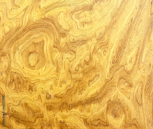 Burl wood background