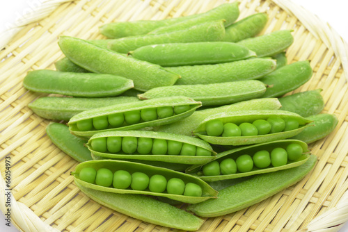 えんどう豆　The pea