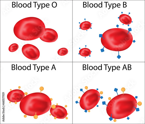 ABO Blood Group