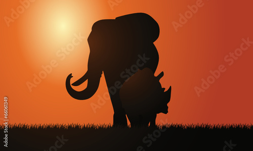Elefant und Nashorn