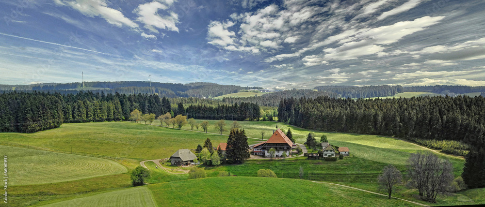 Fototapeta premium gdzieś w Czarnym Lesie