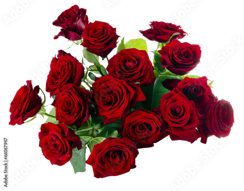 Fototapeta Naklejka Na Ścianę i Meble -  Red Roses Bouquet