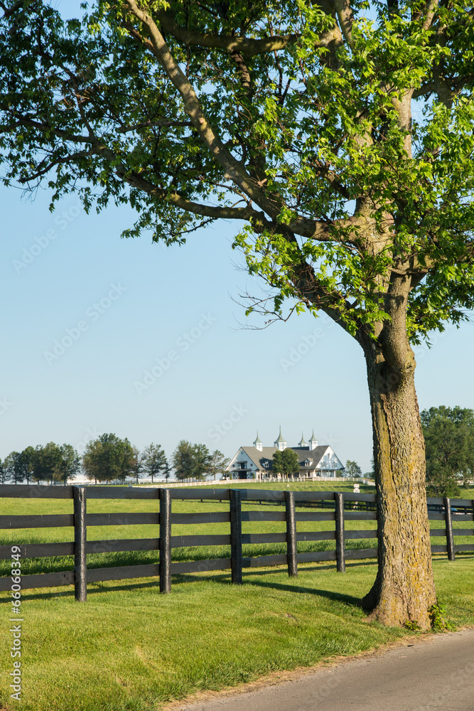 Countryside