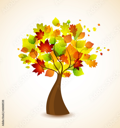 autumn tree