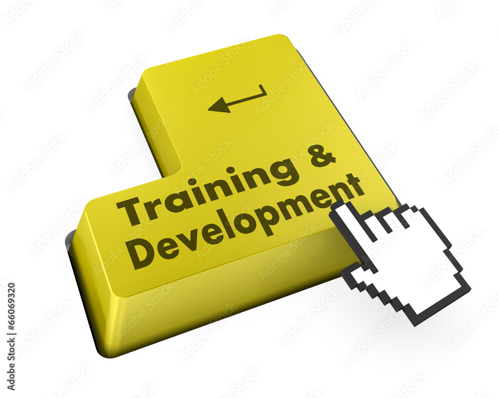 Training & Development