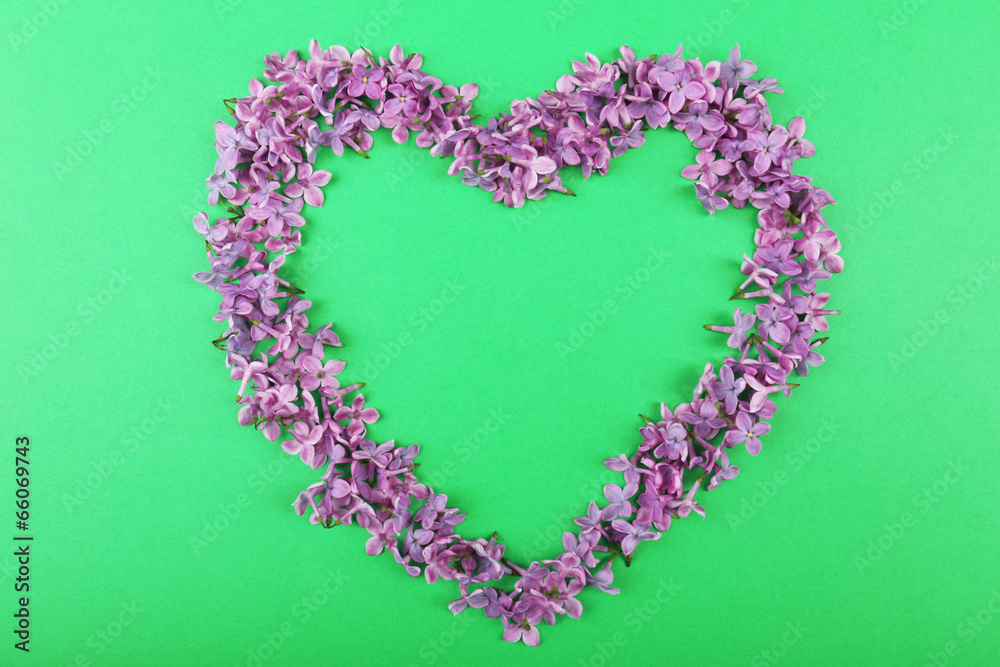 Beautiful lilac flowers in shape of heart on green background