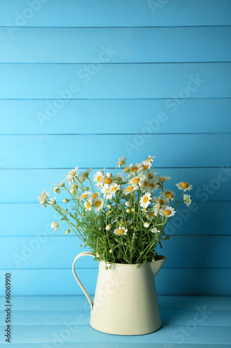 Fototapeta Naklejka Na Ścianę i Meble -  Chamomiles in jug  on color wooden background