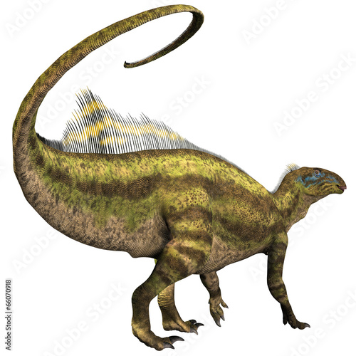 Tenontosaurus Profile photo