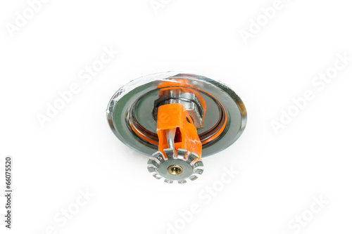 Fire sprinkler