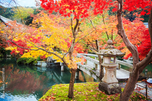 Fall Leaves at  Kyoto, Japan photo