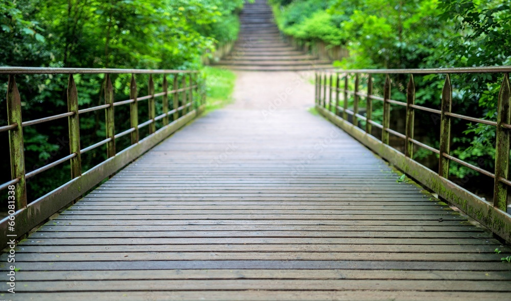 Obraz premium PONT NATURE