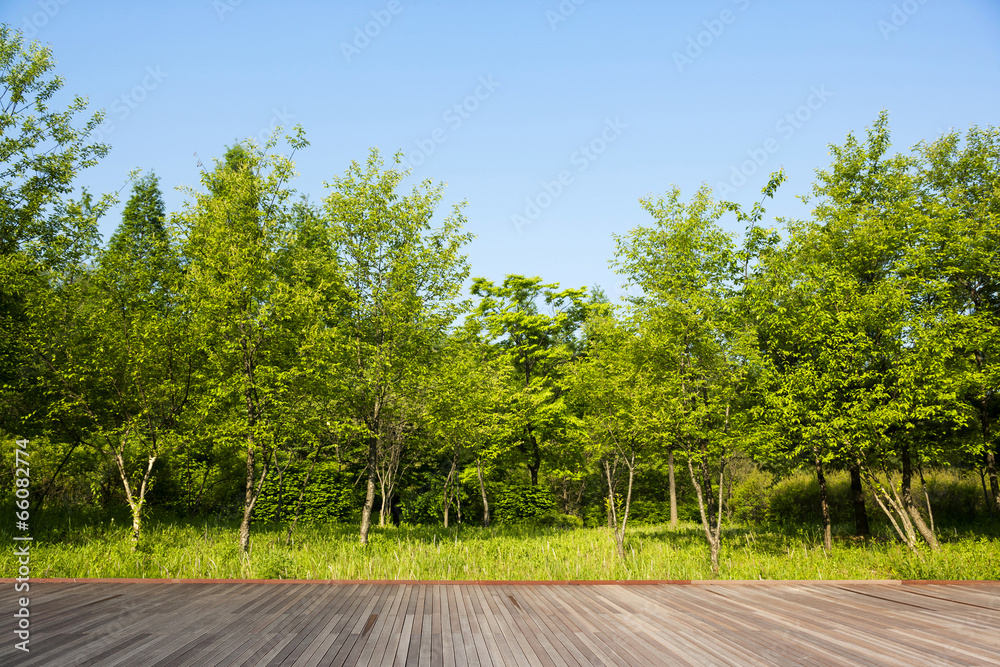 Green forest with wooden floor background