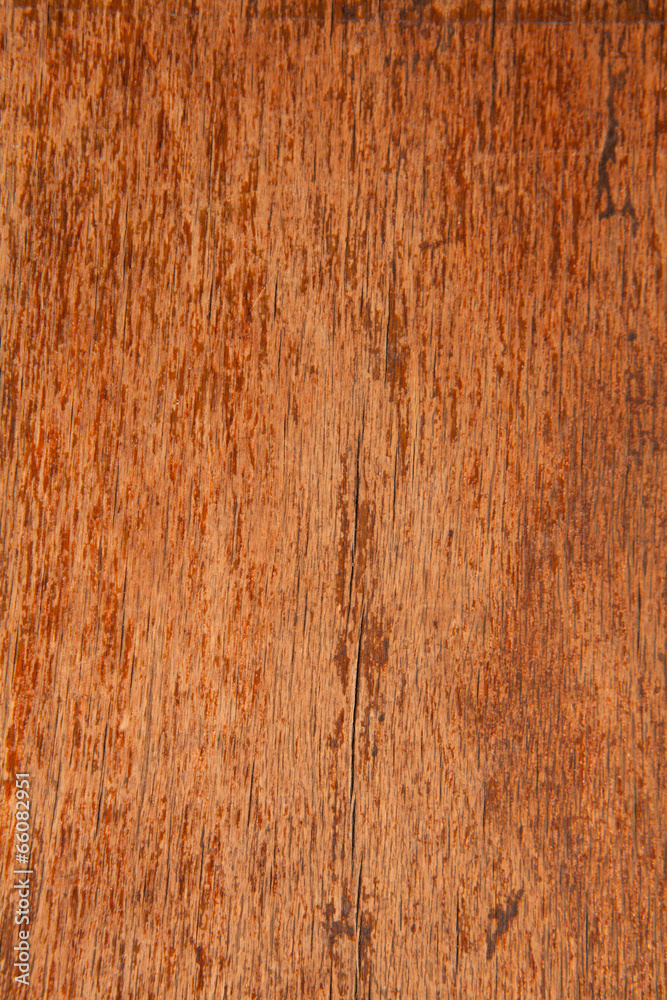 wooden texture wooden texture
