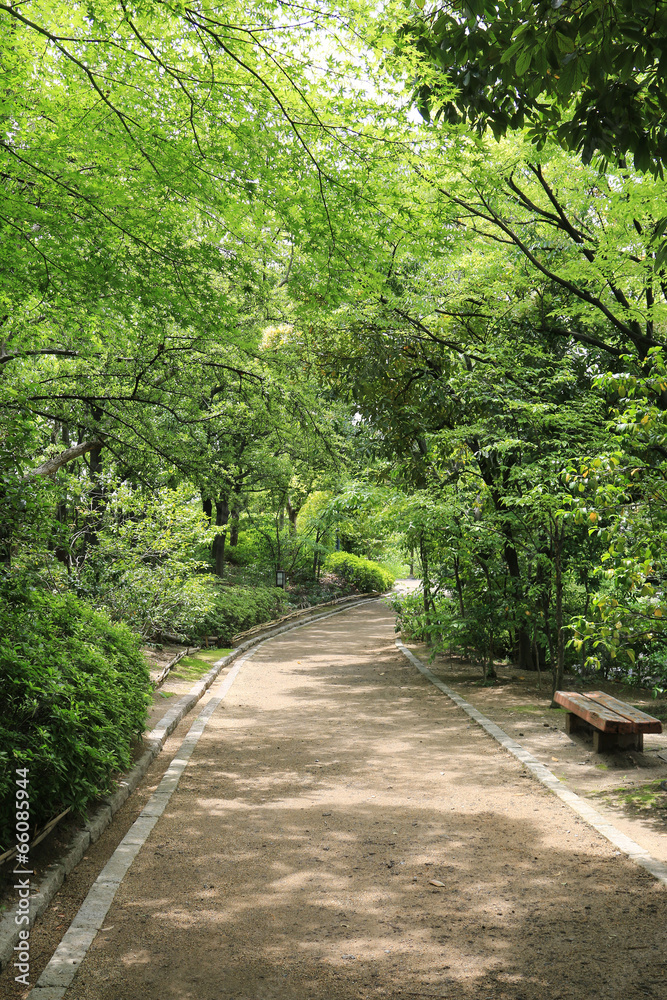 散策路 散策路