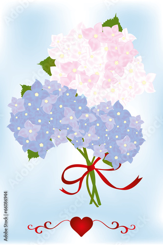 Bouquet of hydrangea flowers and green leaves with red heart