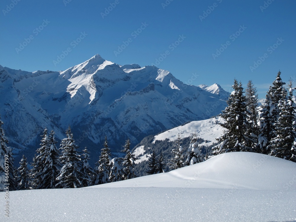 Beautiful winter scenery in the Bernese Oberland
