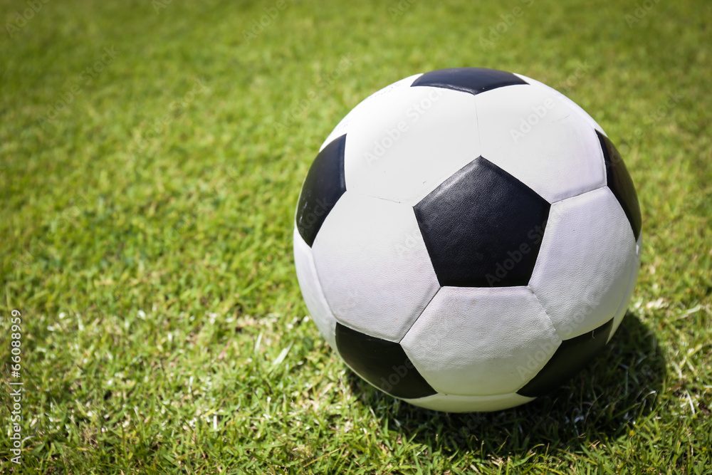 Soccer ball on green grass Soccer ball on green grass