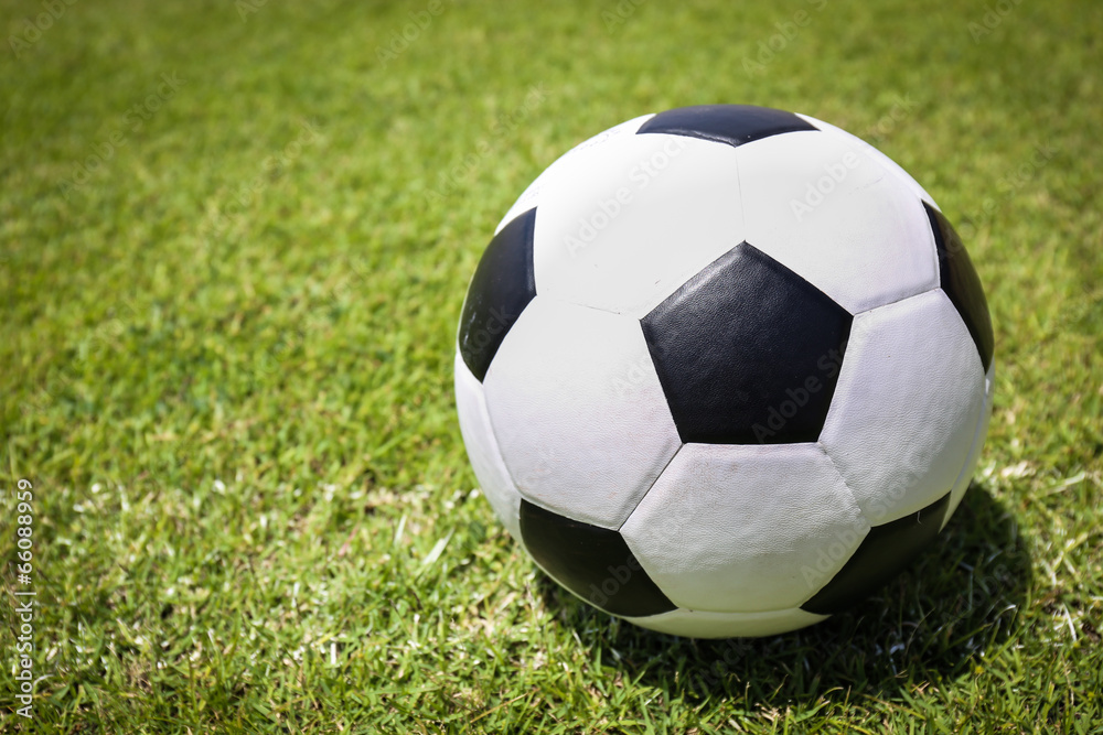 Soccer ball on green grass