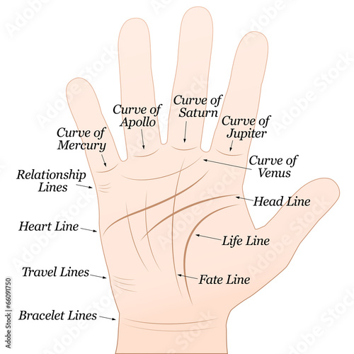 Palmistry Right Hand White