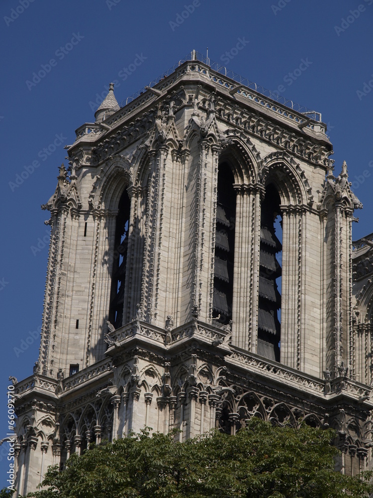 Fototapeta premium Catedral de Notre Dame en París