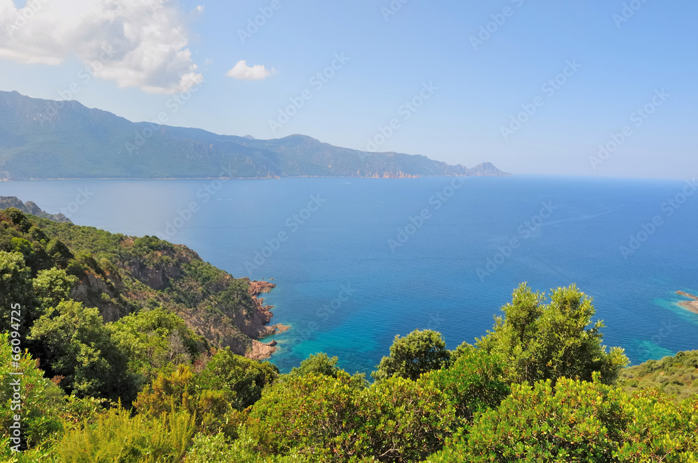 mer bleue et végétation verdoyante (Corse)
