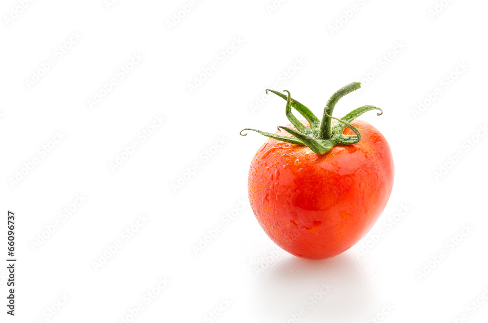Tomato isolated on white Tomato isolated on white