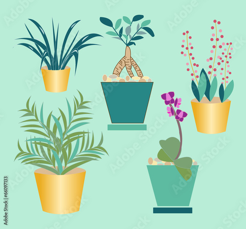 Plant silhouette collection - Illustration