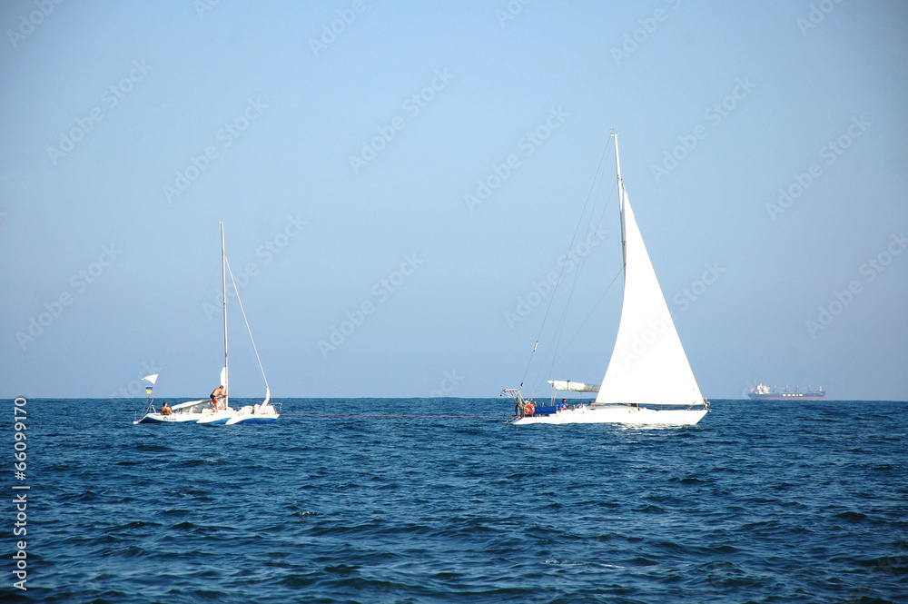 The sailboats