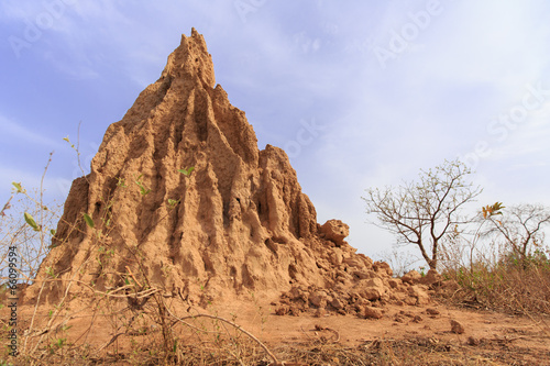 Anthill in africa
