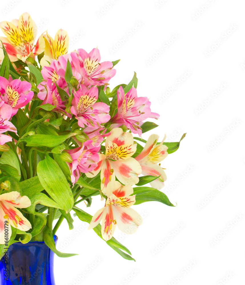 Obraz Bukiet kwiatów alstroemerii