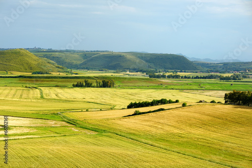Scenic landscape of a yellow and green meadow © MNStudio