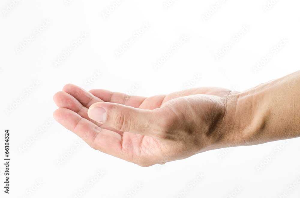 Close up open Hand on white background Close up open Hand on white background