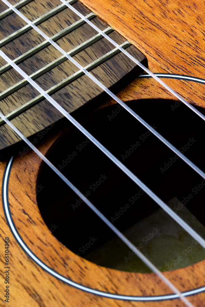 Obraz premium ukulele