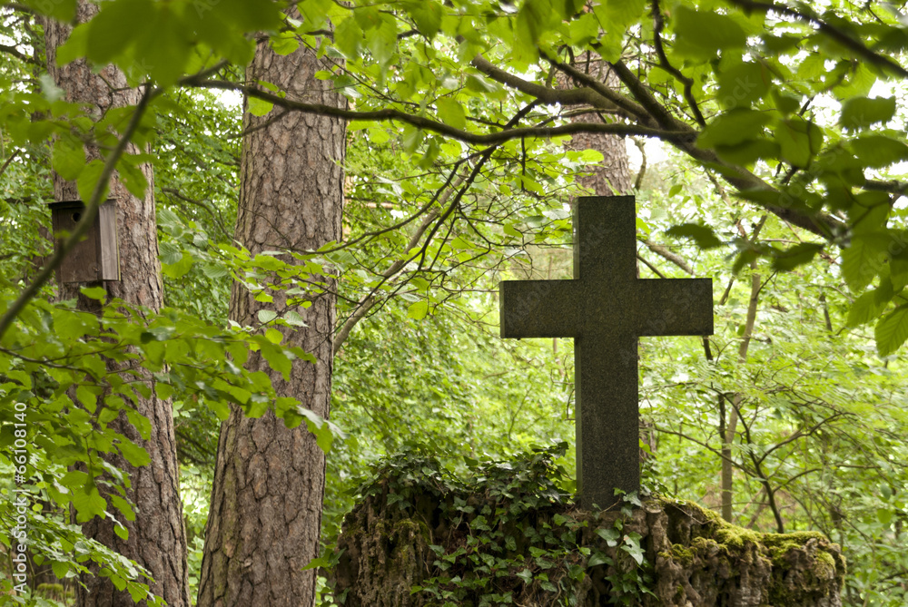 Cemetery in a Forest Cemetery in a Forest