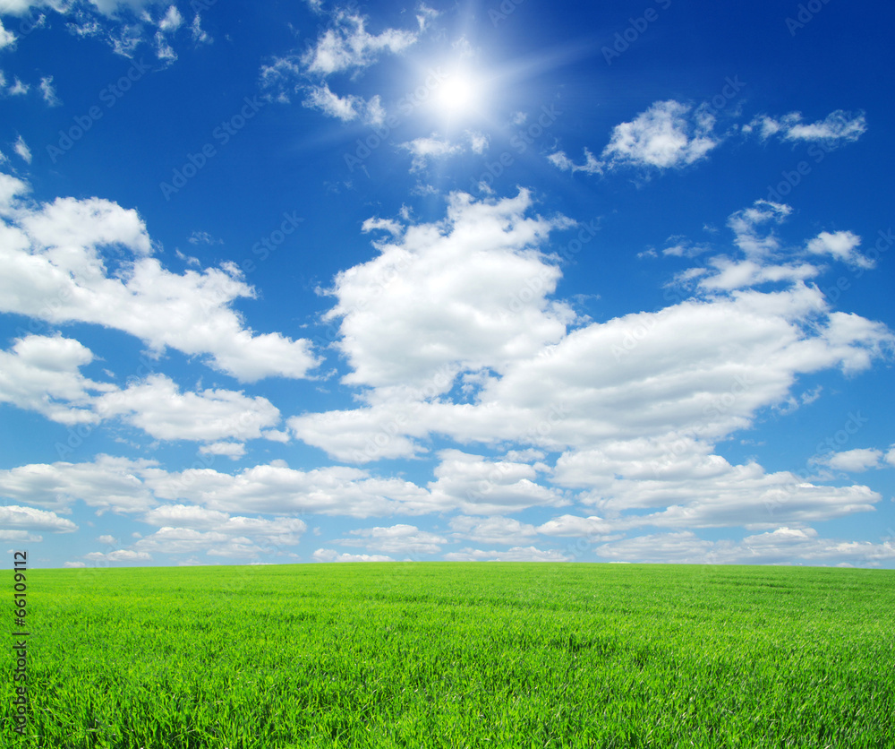 Obraz premium landscape